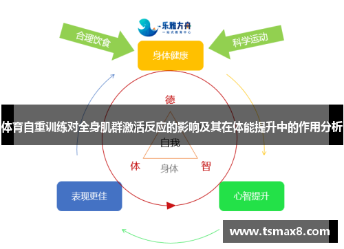 体育自重训练对全身肌群激活反应的影响及其在体能提升中的作用分析